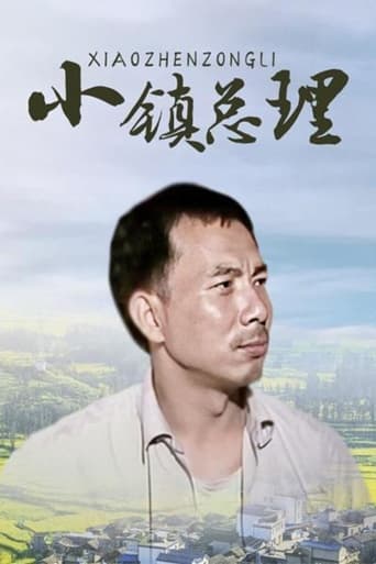 Poster of 小镇总理