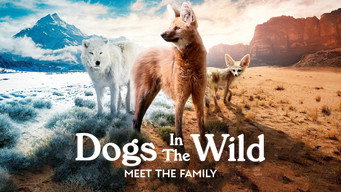 #5 Dogs in the Wild