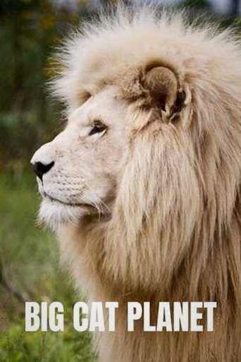Big Cat Planet (2026)