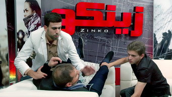 #28 Zinko