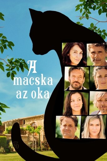 A macska az oka