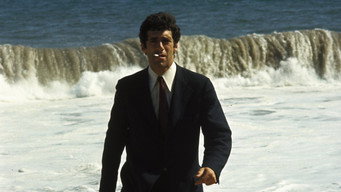 #4 The Long Goodbye