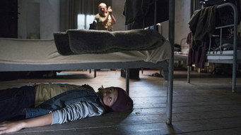 Galeria 3 - Los cinco y el valle de los dinosaurios