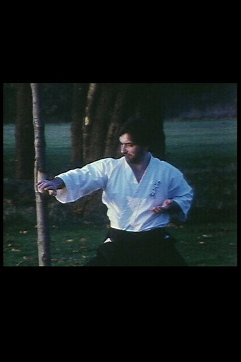 Ice Break (1981年)のポスター画像 - FindKey