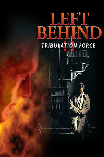 Poster 4