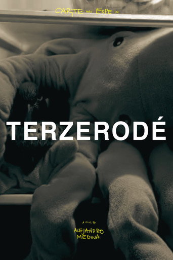 Cartell de Terzerodé