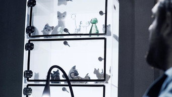 Joe Pingue — photo 5