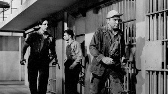Revolt in the Big House (1958)