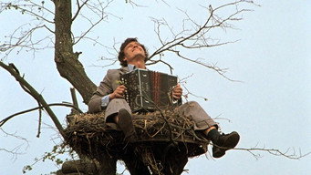 Білі Роси (1983)