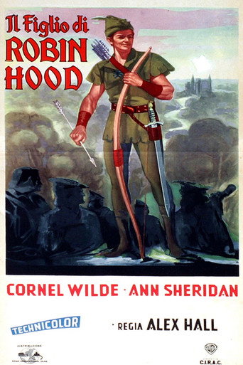 Poster 9