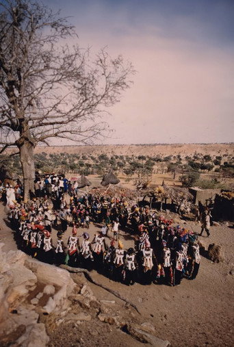 Sigui Synthesis Collection