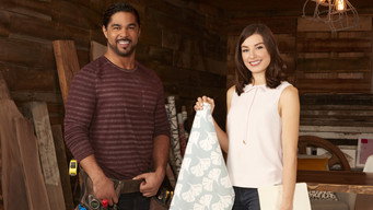 Save My Reno (2017- )