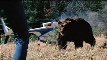 #12 Grizzly