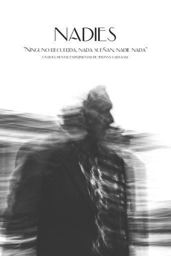 NADIES. poster
