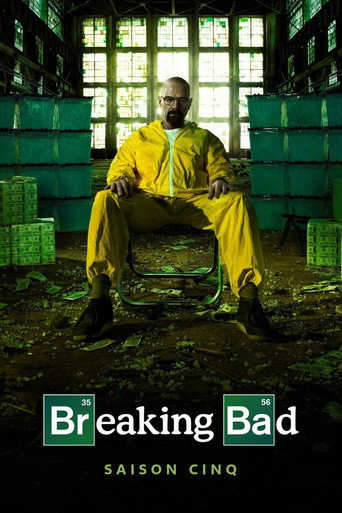 Breaking Bad - S5 - Épisode 2 : Madrigal - Affiche