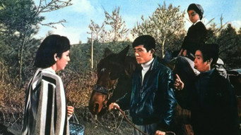 Дівчина з плато (1965)
