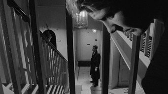 #31 Служник