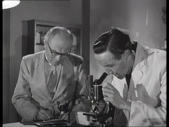 第11話：The Angola Brights