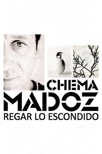 Chema Madoz: regar lo escondido (2013)