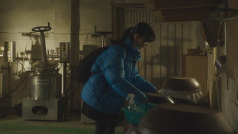 The Yeast (2026)