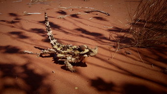 Deadly Australians (2017)