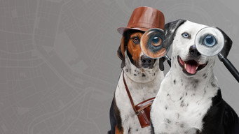 #4 Pet Seekers