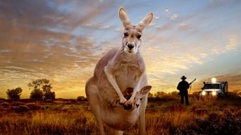 #1 Kangaroo