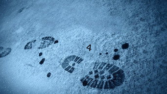 Norwegian Crime Stories (2021- )