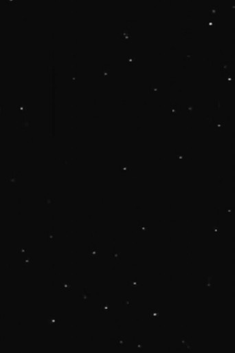 We Are Your Friends (Forever Unfinished) (2026)