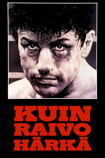 Kuin raivo h&auml;rk&auml; (1980)