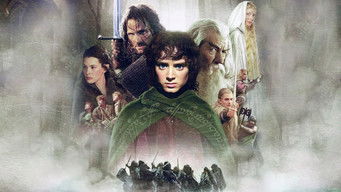 Galeria 3 - The Lord of the Rings: The Fellowship of the Ring