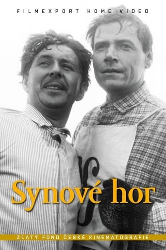 Poster of Synové hor