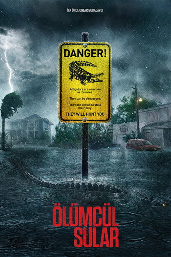 Poster 4