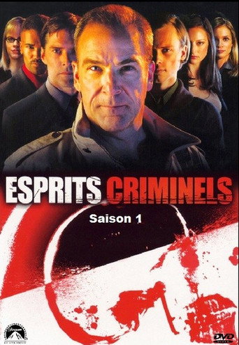 Esprits criminels - S1 - Poster