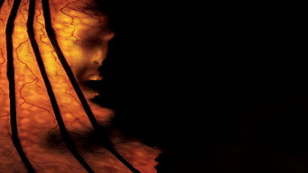 Still 2 from Jeepers Creepers 2