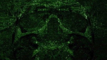 The Borneo Incident (2013)