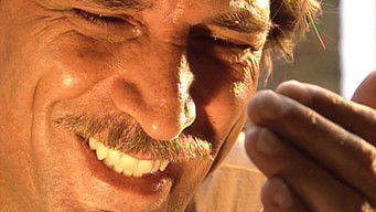 Episodio 206 — Episodio 206