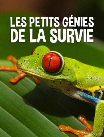 Les petits génies de la survie poster