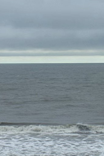 Atlantic Views 1-15 (2024)