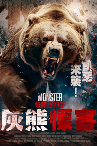 Poster 4