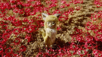 Gon, the Little Fox (2019)