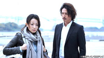 Episode 9 — Implacable Woman - Political Fixer Exposed!