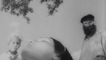 #7 Bezhin Meadow: Sequences from an Unfinished Film