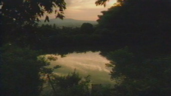 Firefly media image