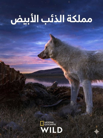 مملكة الذئب الأبيض