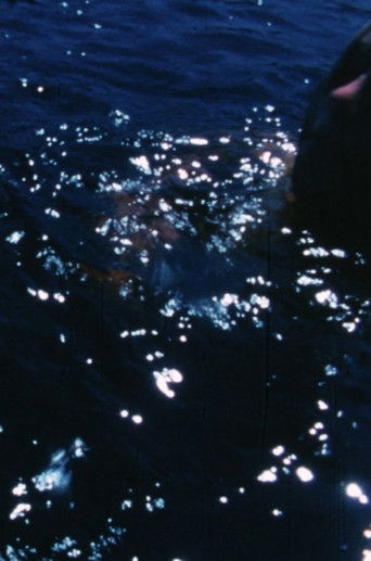 Outward Bound: Ahnameke (1969)