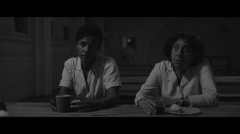 Cena de Minha Bolsa!