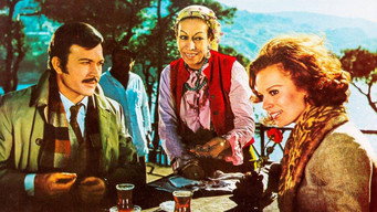 Son hiçkirik (1971)