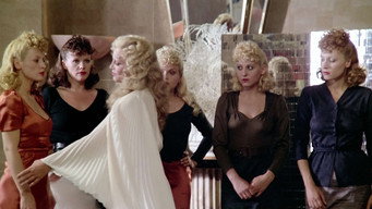 #4 Salon Kitty