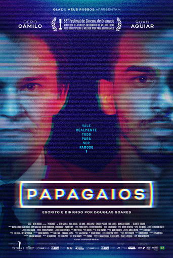 Papagaios poster